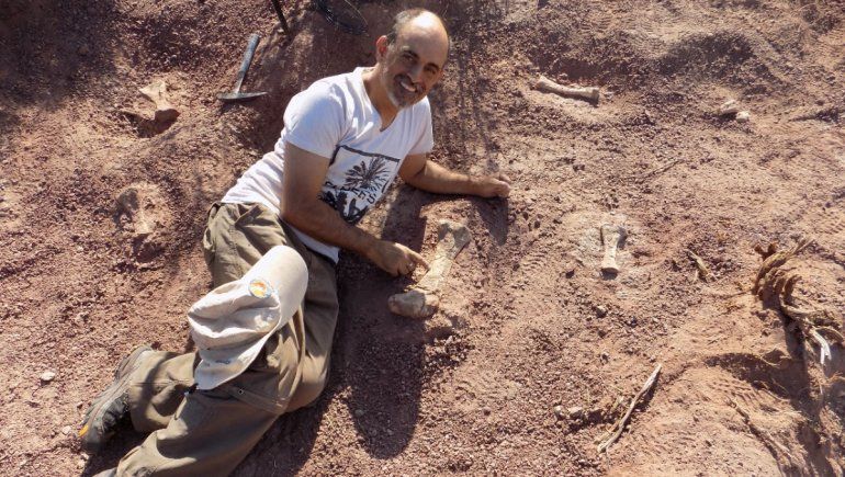Asombroso hallazgo de huesos en Neuquén conmociona a la paleontología