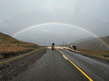 Arreo sobre la Ruta Provincial 43, en el sector El Cudío, entre Andacollo y Chos Malal. Foto IG @lizzmarilina&nbsp;