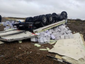Diez toneladas de langostinos desparramados en la ruta 3: el temporal volteó un camión en Chubut
