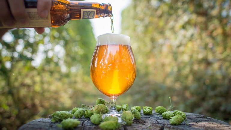 ¿Por qué hoy se celebra en todo el mundo el día de la IPA?