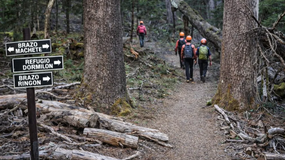 Rescate en el Cerro Dormilón: un hombre de 62 años se perdió tras hacer cumbre | LM Neuquen Rescate en el Cerro Dormilón: un hombre de 62 años se perdió tras hacer cumbre