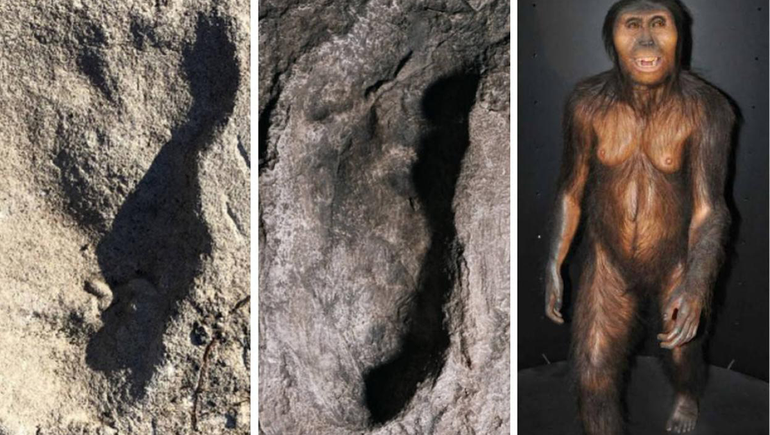 Hallaron huellas de unos homínidos desconocidos