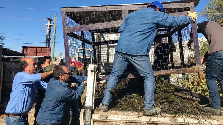 Chau caniles: la Muni no encerrará más a los perros