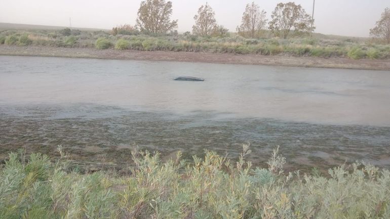El viento sacudió a Cipo: hubo árboles caídos y un auto terminó en un canal
