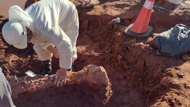 Inesperado: el temporal de lluvia dejó al descubierto fósiles de dinosaurios