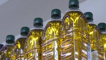 La disposición fue publicada en el Boletín Oficial. Allí el organismo expuso que tomó conocimiento del producto apócrifo. La disposición fue publicada en el Boletín Oficial. Allí el organismo expuso que tomó conocimiento del producto apócrifo.