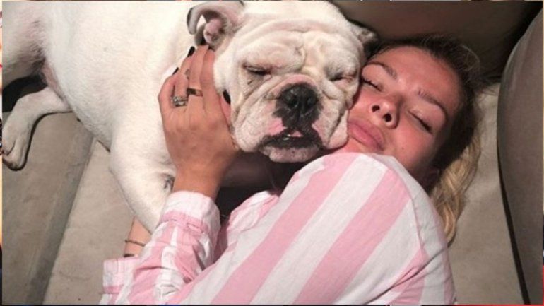 La China Suárez cruzó a un periodista que la vinculó con la muerte del perrito de los hijos de Pampita