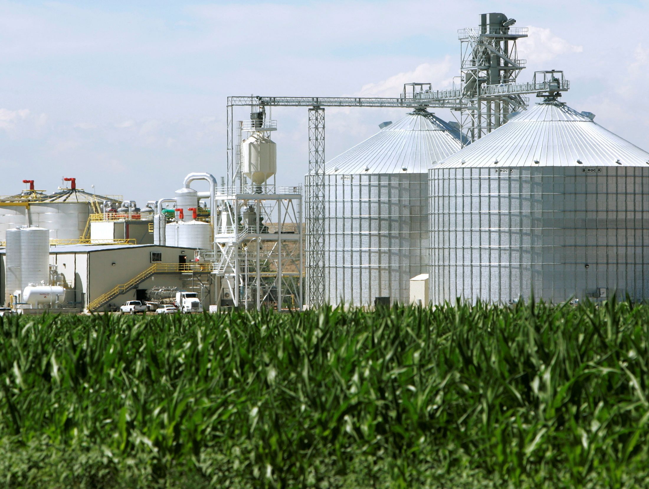 FOTO DE ARCHIVO: Una planta de etanol con sus gigantescos silos de maíz junto a un maizal.