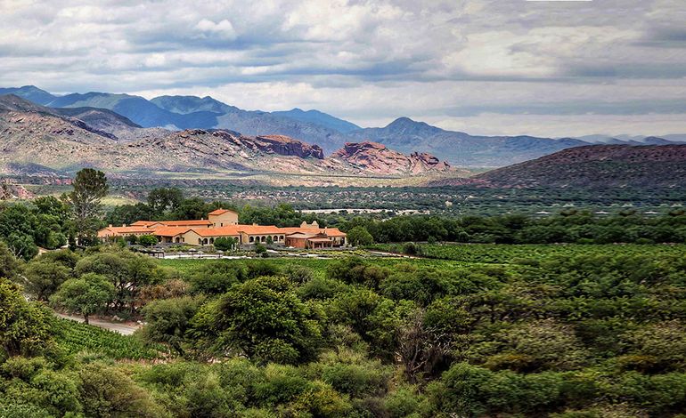 Colomé, un paraíso único, con viñedos de altura , hospedaje increíble y un museo fantástico. Colomé, un paraíso único, con viñedos de altura , hospedaje increíble y un museo fantástico.