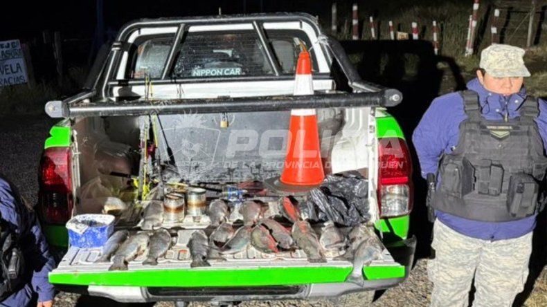 Pesca ilegal: secuestraron 40 truchas arcoíris y cañas en rutas 40, 237 y 234 | LM Neuquen Pesca ilegal: secuestraron 40 truchas arcoíris y cañas en rutas 40, 237 y 234