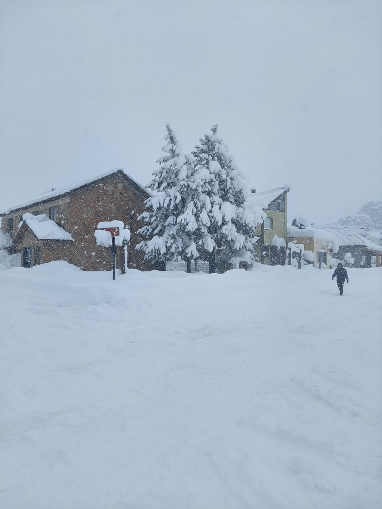 / Foto Gentileza Raul Navarrete / Foto Gentileza Raul Navarrete