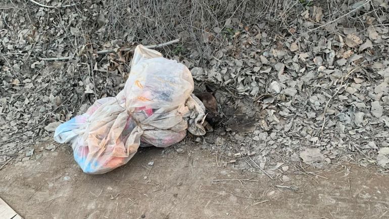 Vecinos de Centenario están cansados de que usen las chacras como basural, tiran hasta perros muertos