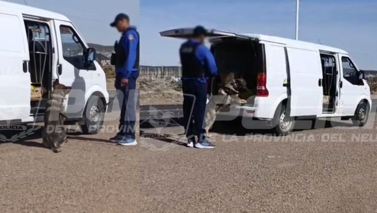 Una perra marcó dónde tenía la marihuana el conductor de un transporte de encomiendas.