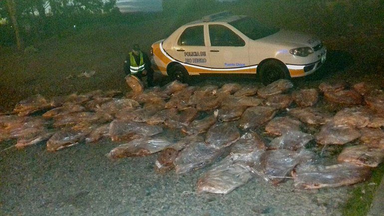 Atraparon a dos neuquinos que intentaban contrabandear una tonelada de carne  copy