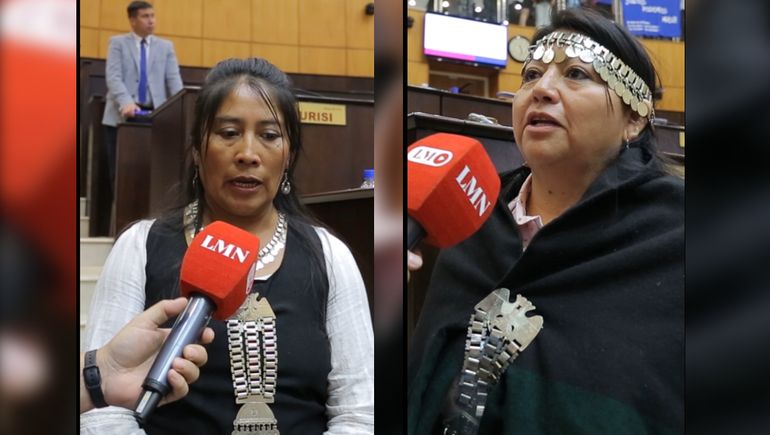 Qué dijeron las mujeres mapuche sobre la consulta que impulsa Gutiérrez