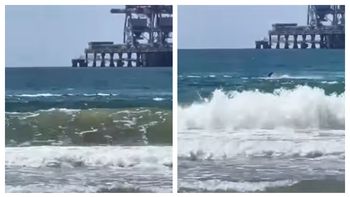 El ataque del tiburón ocurrió frente a las costas de Hadera, al norte de Israel.