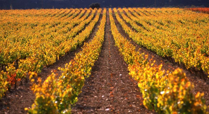 El sector reclama créditos con tasas competitivas para lograr una reconversión productiva eficaz. El sector reclama créditos con tasas competitivas para lograr una reconversión productiva eficaz.