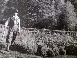 Don Carrillo, una vida dedicada a la forestación. Foto: gentileza Don Carrillo, una vida dedicada a la forestación. Foto: gentileza