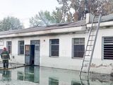 Escuela 223: tres adolescentes prendieron fuego el techo intencionalmente