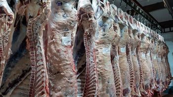 Por primera vez en décadas, miles de toneladas de carne vacuna llegan al mercado local desde terceros países.