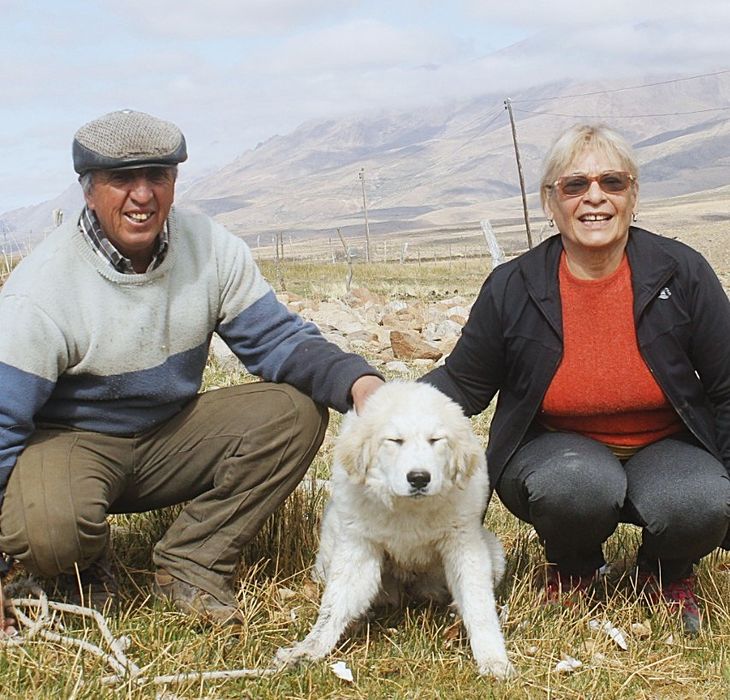 El productor Argentino Vázquez, junto a su esposa, fueron de los últimos en incorporar a un perro para cuidar su ganado. El productor Argentino Vázquez, junto a su esposa, fueron de los últimos en incorporar a un perro para cuidar su ganado.
