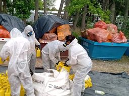 La campaña “itinerante” comenzó en Viedma y Río Colorado la semana pasada. La campaña “itinerante” comenzó en Viedma y Río Colorado la semana pasada.