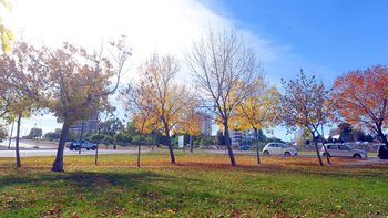 ¿Semana con viento y lluvia? Así es el pronóstico para Neuquén