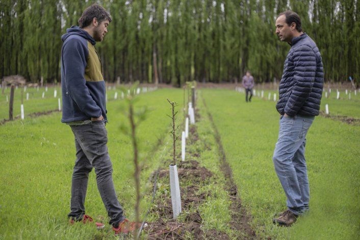 El Centro Pyme ofreció hace algunas semanas una capacitación en frutos secos en Centenario.