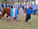 Cumbre por la barrera sanitaria: la Patagonia va al choque con Nación