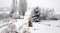Asimismo, las temperaturas serán muy bajas, con máximas de apenas 3°C el jueves y cerca de 1ºC el viernes y muy baja sensación térmica. Asimismo, las temperaturas serán muy bajas, con máximas de apenas 3°C el jueves y cerca de 1ºC el viernes y muy baja sensación térmica.