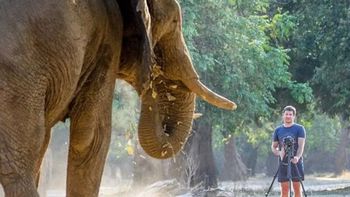 Pisoteado por un elefante: así murió el dueño de una reserva natural privada Pisoteado por un elefante: así murió el dueño de una reserva natural privada