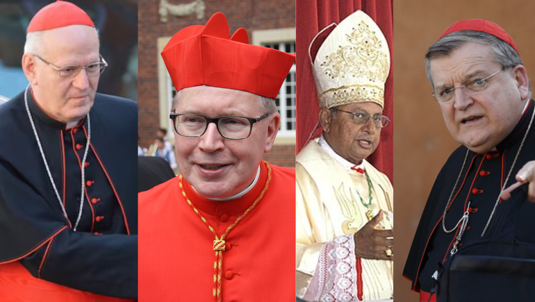 Los cardenales conservadores que comparten el mismo lineamiento que el cardenal Sarah. Los cardenales conservadores que comparten el mismo lineamiento que el cardenal Sarah.