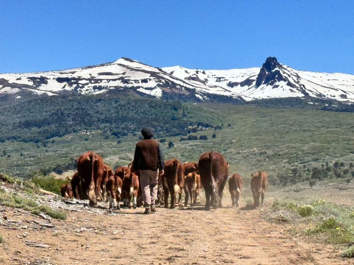 También se trabaja en fomentar procesos productivos sostenibles También se trabaja en fomentar procesos productivos sostenibles