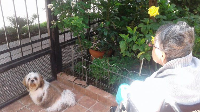 Hallaron a Coco, el perro de la abuela con alzhéimer