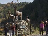 El nivel de ocupación en la provincia es bueno, pese al éxodo que se dio de turistas a Chile.