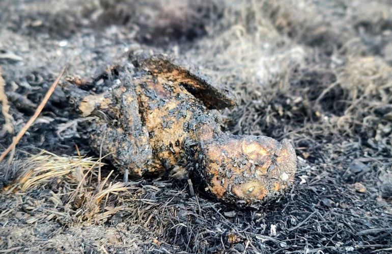El loro que provocó el incendio en Puerto Madryn quedó calcinado. El loro que provocó el incendio en Puerto Madryn quedó calcinado.