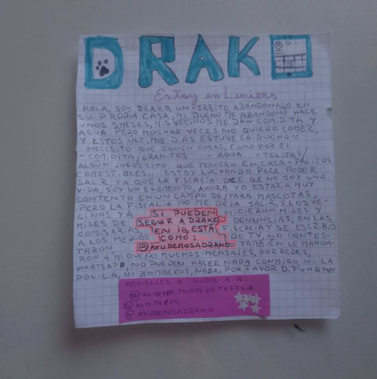 Foto: Instagram, @ayudemosadrako Foto: Instagram, @ayudemosadrako