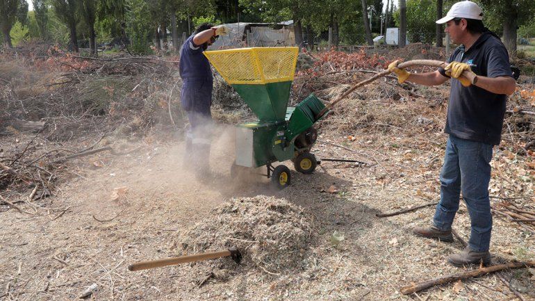 Centenario ya produce compost de sus residuos orgánicos