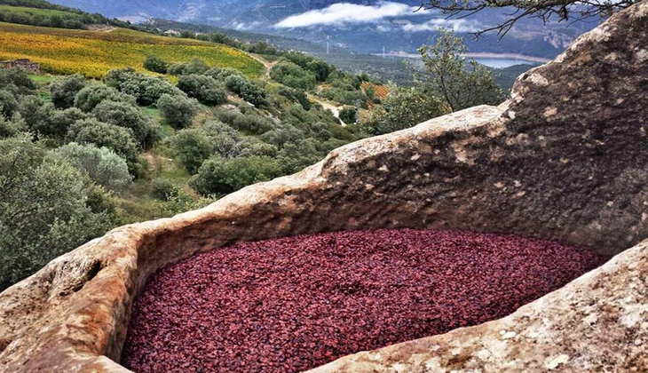 Un recorrido por bodegas de La Rioja, España. Un recorrido por bodegas de La Rioja, España.