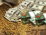 La producción, en un contexto de un mercado sin pesos y un dólar planchado.
