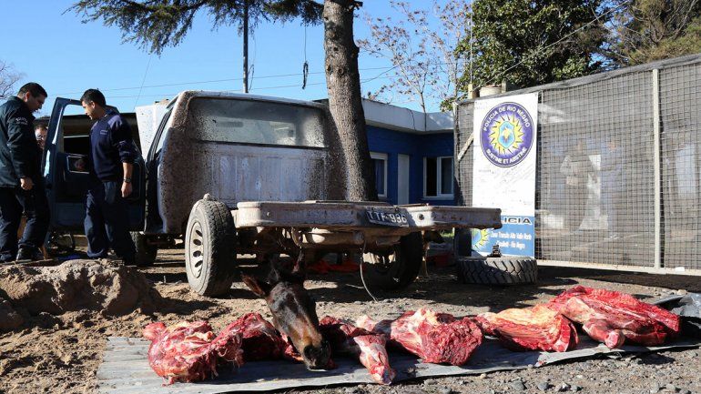 La Caminera de Barda del Medio persiguió por 7 kilómetros a los cuatreros.