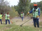 Gran operativo de limpieza y mantenimiento en el Parque Agreste