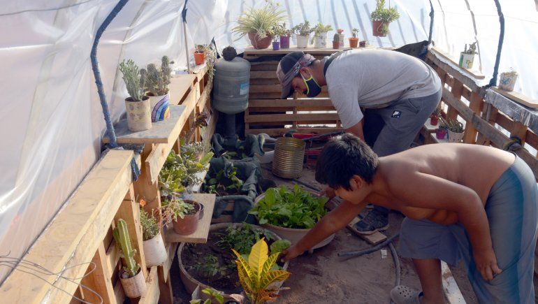 El proyecto del vivero recién comienza.