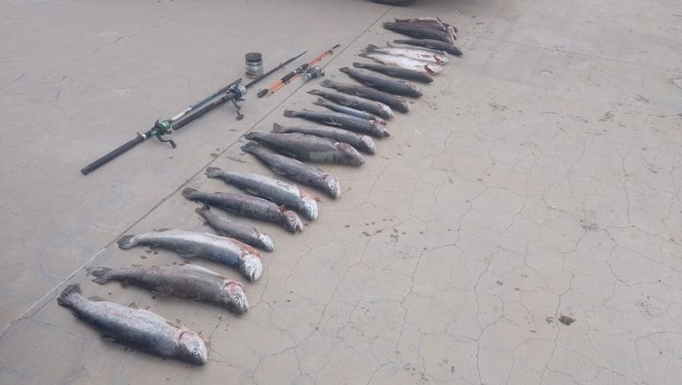 En el operativo participó personal de Fauna de la Provincia. En el operativo participó personal de Fauna de la Provincia.