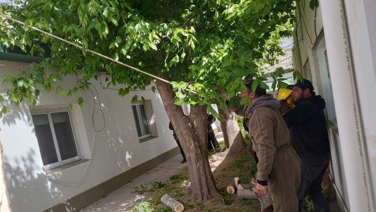 Cortaron las ramas que estaban sobre el techo del hospital y no hubo que lamentar daños. Cortaron las ramas que estaban sobre el techo del hospital y no hubo que lamentar daños.
