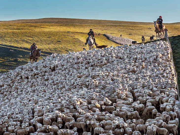 Soberanía en disputa: el debate sobre quién controla los recursos del siglo XXI. Soberanía en disputa: el debate sobre quién controla los recursos del siglo XXI.