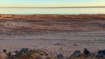 Fuerte bajante en los caudales de Mari Menuco y Bareales por la sequía del río Neuquén. Fuerte bajante en los caudales de Mari Menuco y Bareales por la sequía del río Neuquén.