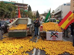El mercado de España esta sufriendo una fuerte sobreproducción de limones. El mercado de España esta sufriendo una fuerte sobreproducción de limones.