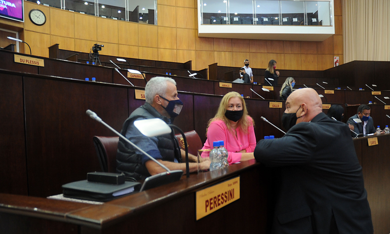 Buscan profundizar sanciones para dueños de animales sueltos