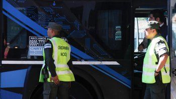 investigan a funcionario por plaga de cucarachas en un micro investigan a funcionario por plaga de cucarachas en un micro